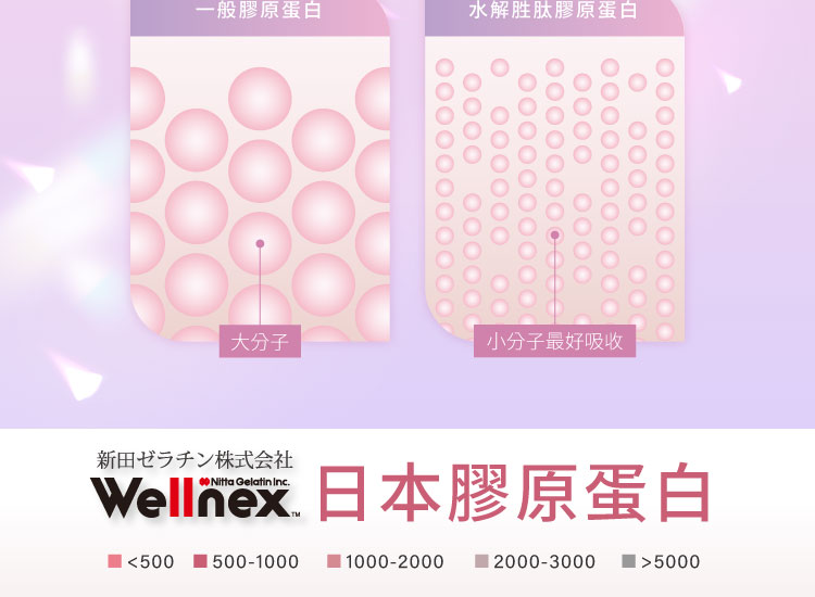 wellnex日本新田膠原蛋白