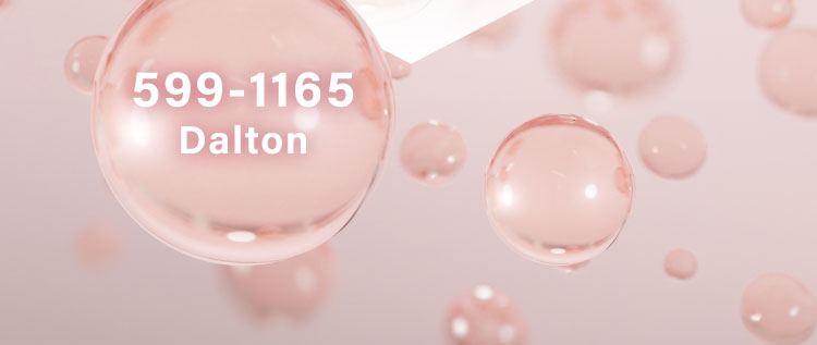 Wellnex膠原蛋白分子平賽599-1165道爾頓Dalton
